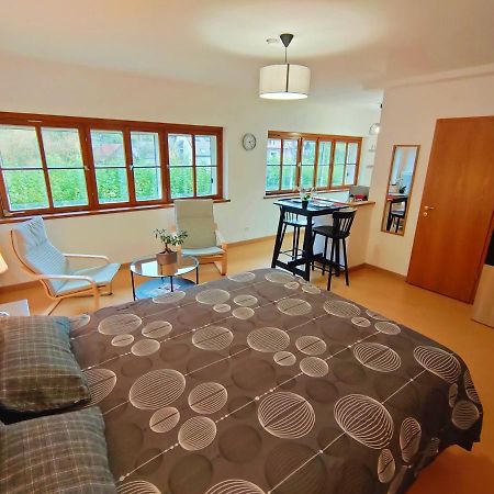 Lumineux Appartement Free Parking Nature Ville Tt Equipe Thann Εξωτερικό φωτογραφία