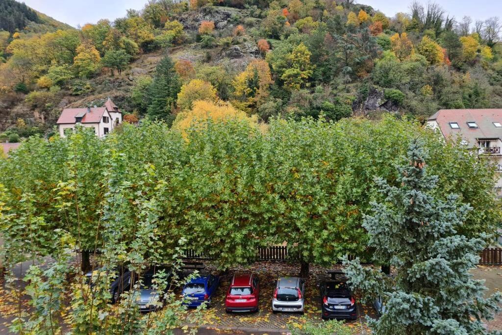 Lumineux Appartement Free Parking Nature Ville Tt Equipe Thann Εξωτερικό φωτογραφία