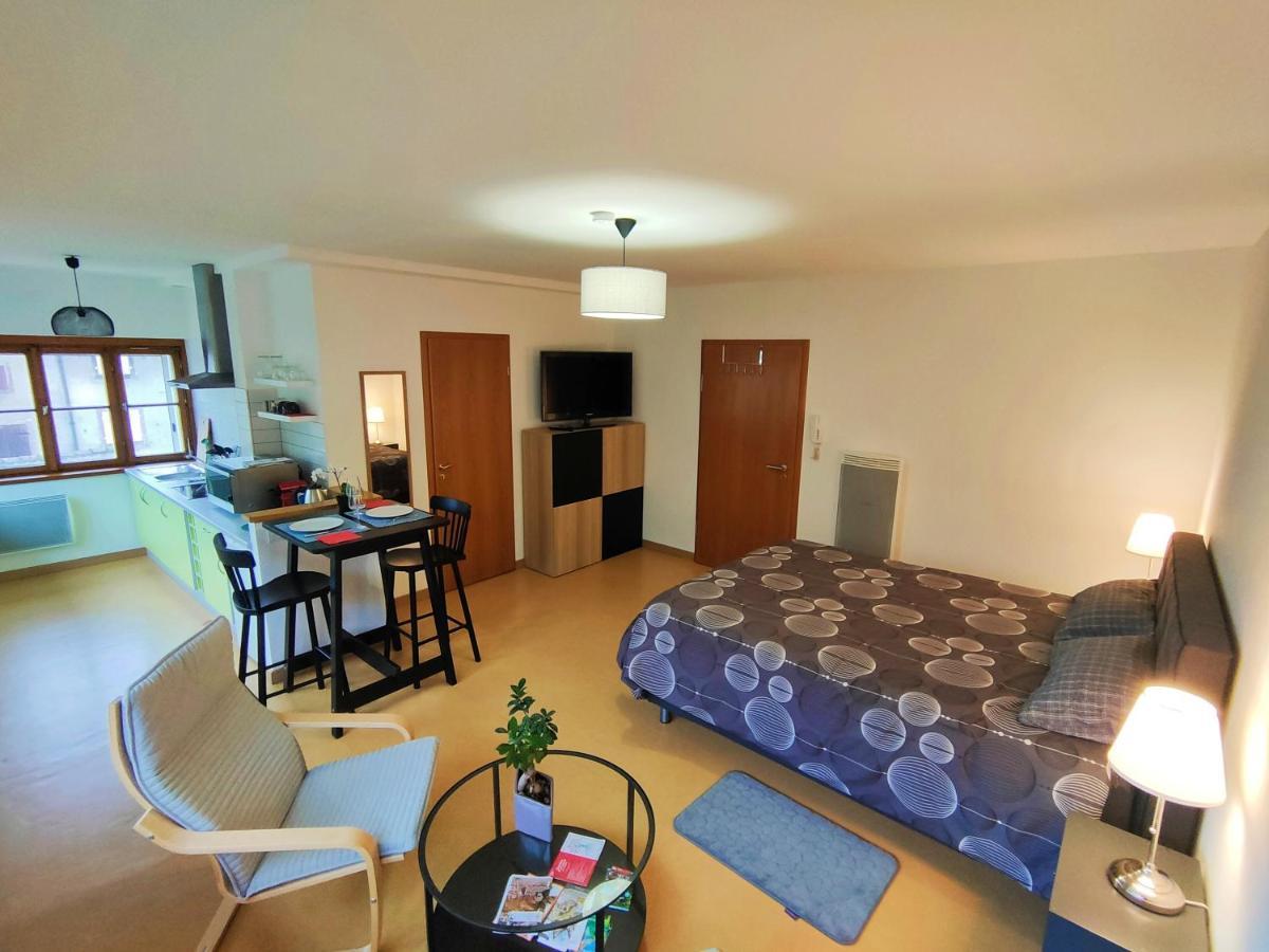 Lumineux Appartement Free Parking Nature Ville Tt Equipe Thann Εξωτερικό φωτογραφία